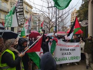 Concentración de apoyo al pueblo saharaui ante la subdelegación del gobierno en Granada.