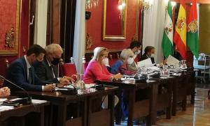 Luis Salvador y José Antonio Huertas, a la izquierda de la imagen, en el pleno de este viernes.