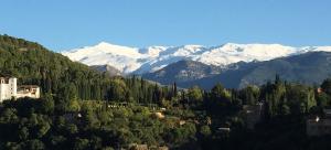 Sierra Nevada al fondo, con el bosque de la Alhambra y Generalife, en primer término.