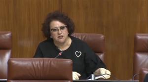 Teresa Jiménez, en una intervención en el Parlamento.