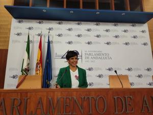 Teresa Rodríguez en una imagen en el Parlamento.