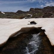 Túnel de nieve. Al fondo, Peñón del Globo (dcha.) y Punta de la Cornisa