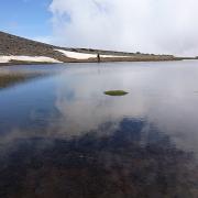 Laguna Culo de Perro