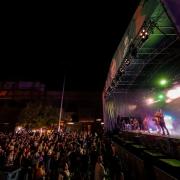 Sonido Vegetal.