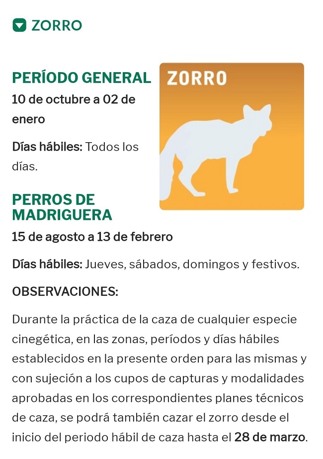 El zorro, especie cinegética